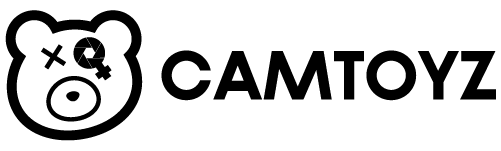 Logo Camtoyz-11 copia